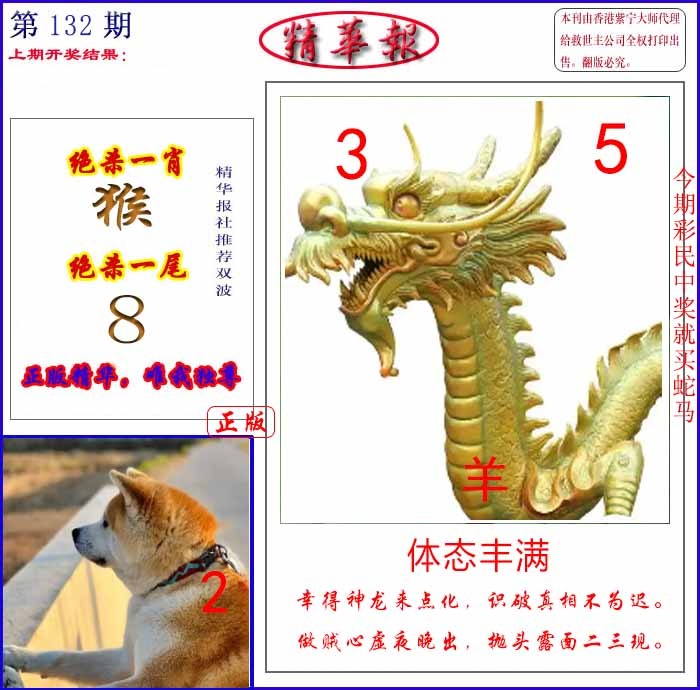 132期新精华报报[图]