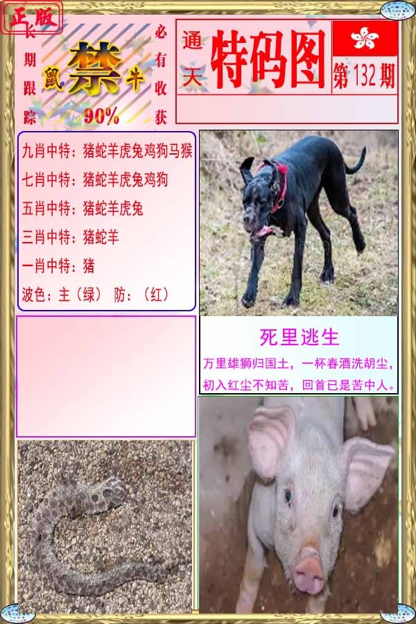 132期特码图[图]