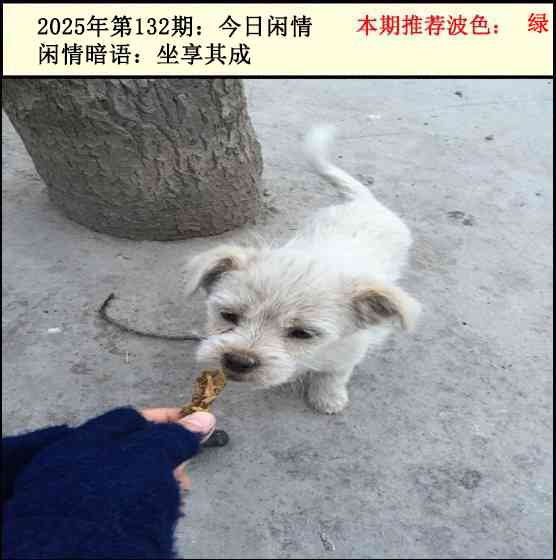 132期今日闲情2[图]